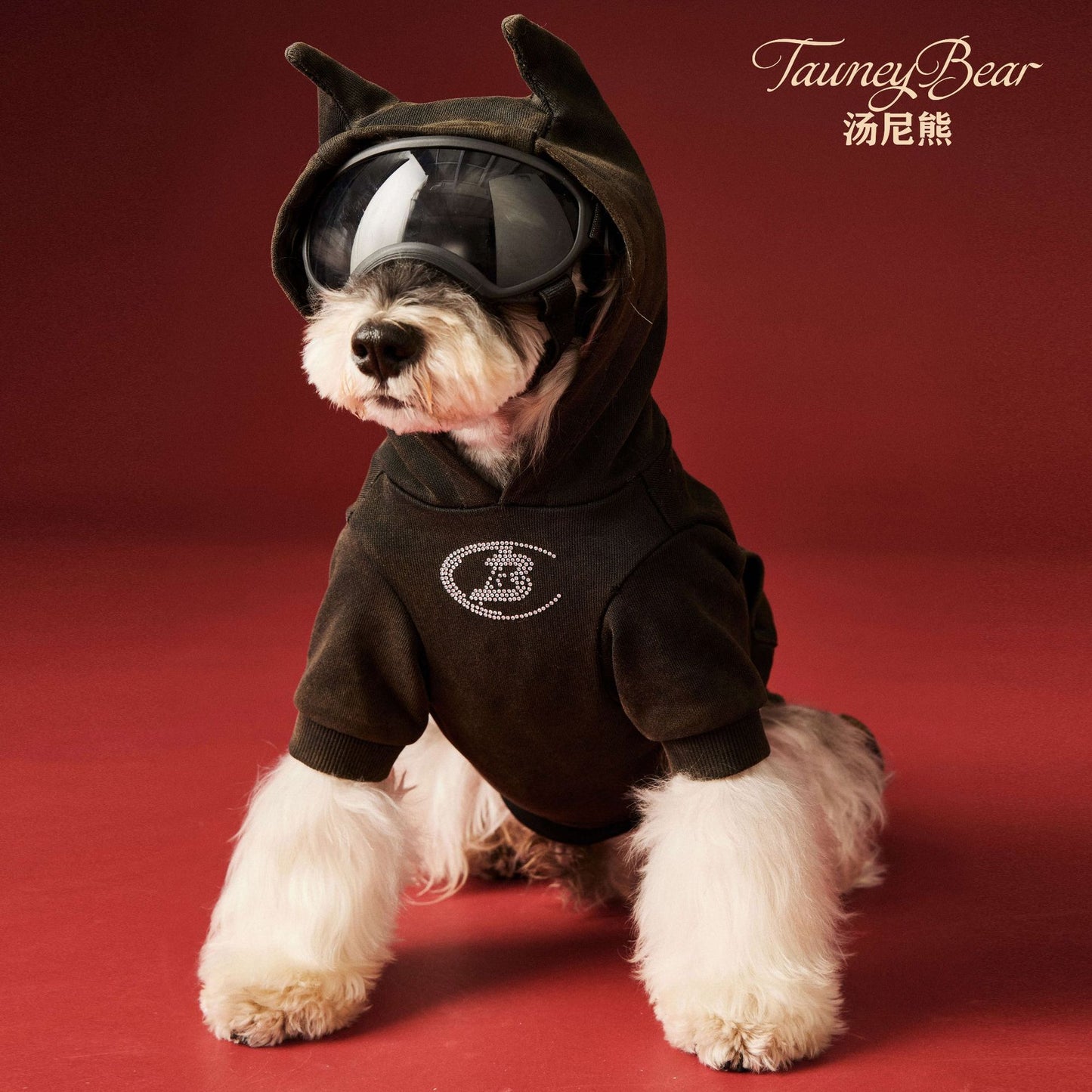 【TawneyBear】 Washed Vintage Sweatshirt with Rhinestone Horns