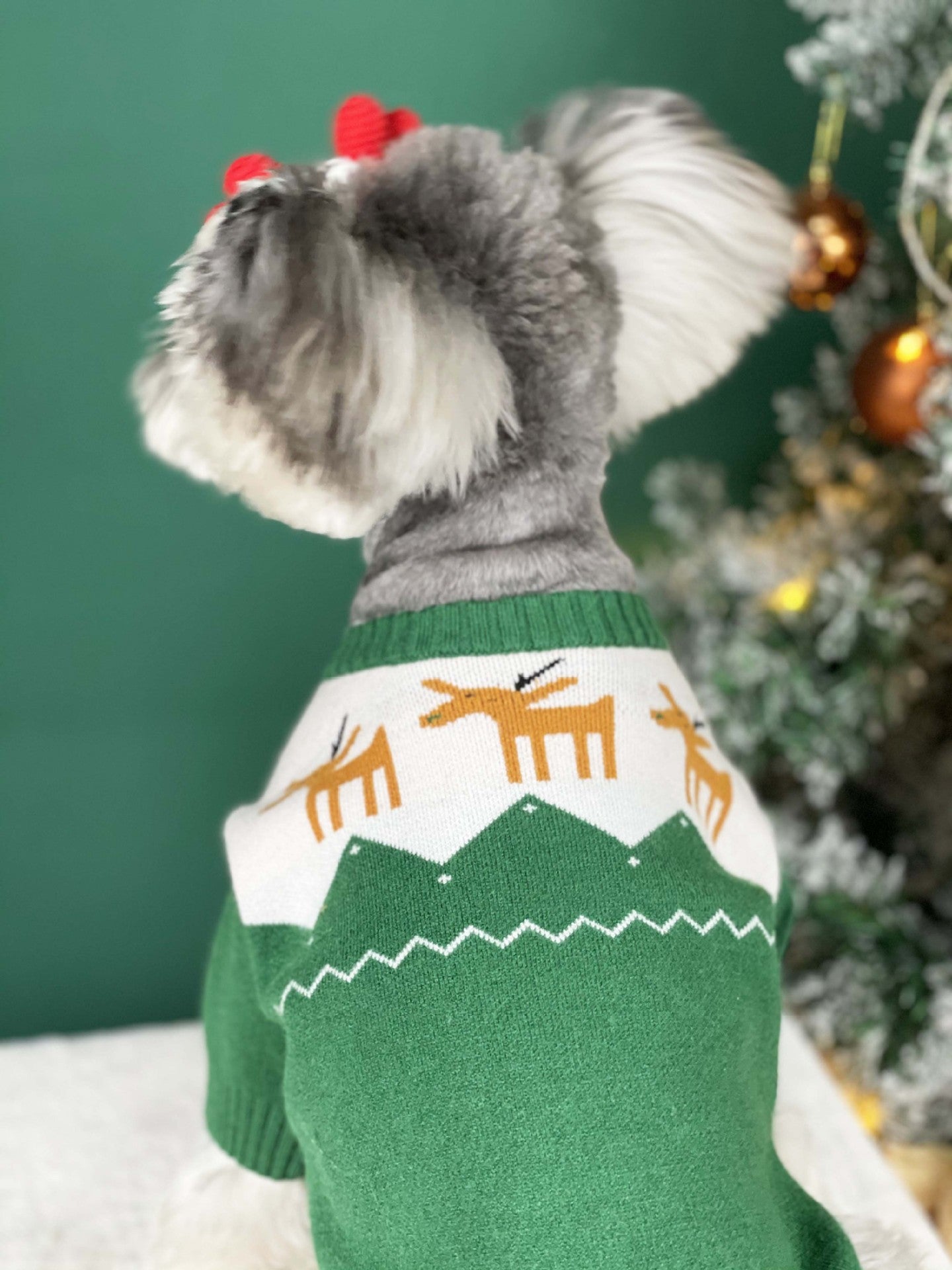 【TawneyBear】 Christmas Pet Sweater