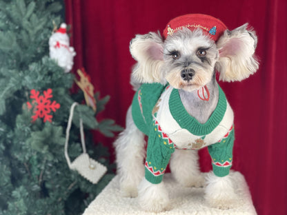 【TawneyBear】 Christmas Dog Sweater