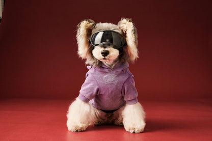 【TawneyBear】 Washed Vintage Sweatshirt with Rhinestone Horns