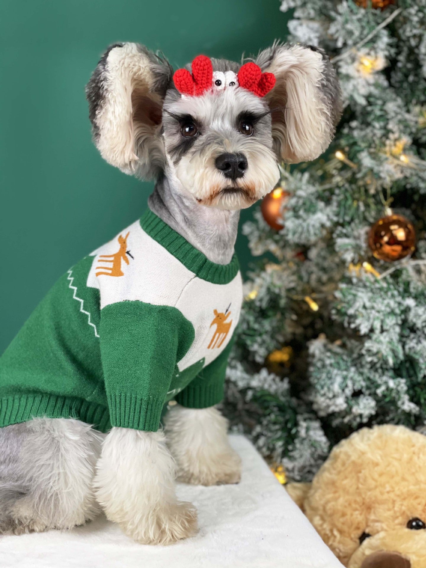 【TawneyBear】 Christmas Pet Sweater