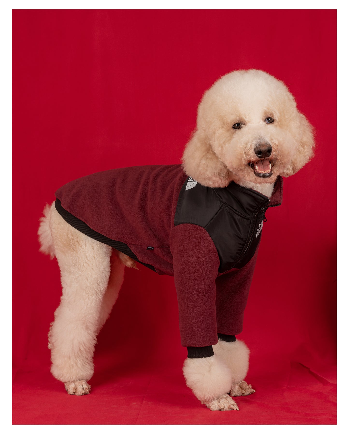 【FUNKYPET】 Large Dog Fleece Jacket