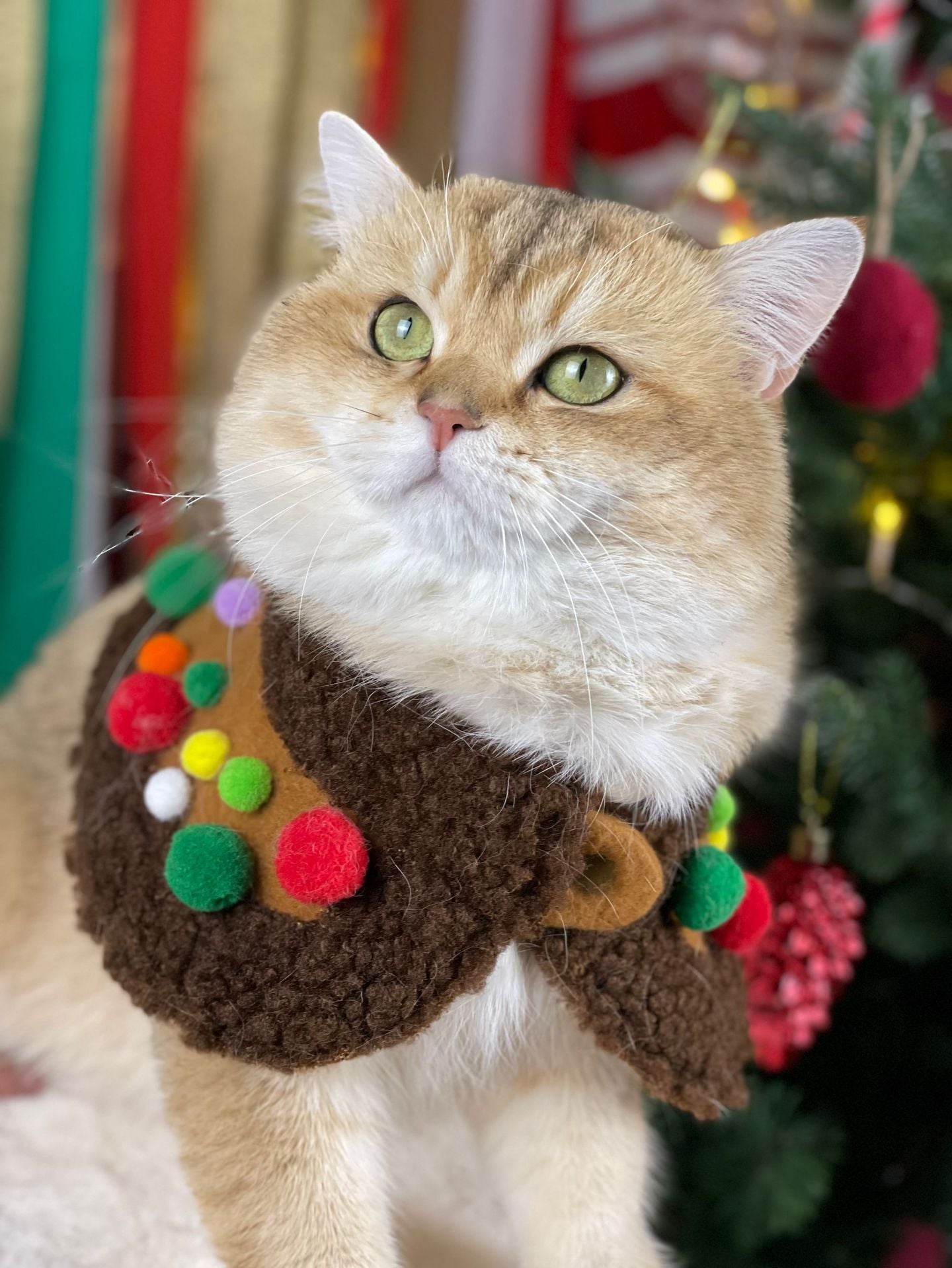 【TawneyBear】 Christmas Dog Headwear Accessories,